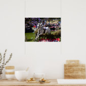 Länderübergreifend Poster (Küche)