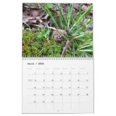 Länderzeitkalender Kalender (Mär 2026)