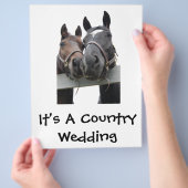 Landesbrücke und -bräuche flyer (Hand)