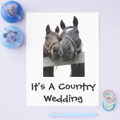 Landesbrücke und -bräuche flyer (Einzeln)