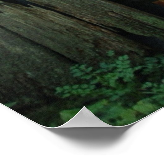 Landestelle Poster (Ecke)