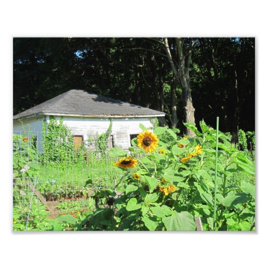 Landesüberschrift-Foto Fotodruck (Vorne)