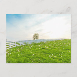 Landfrühlingslandschaft Postkarte