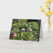 Landgarten mit Rhubarb und Terracotta Pots Karte (Gelbe Blume)