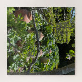 Landgarten mit Rhubarb und Terracotta Pots Puzzle (Horizontal)