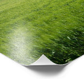 Landhaus mit Zypressen in der Toskana Fotodruck (Ecke)