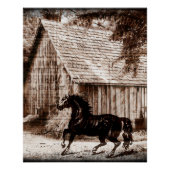 Landhaus-Rustikal-Scheune-Pferd Poster (Vorderseite)