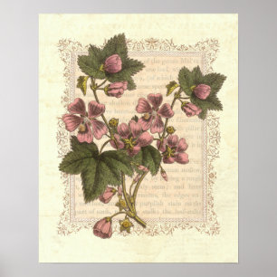 Landhaus Shabby Eleganz Vintage Blumen Dekor Poster