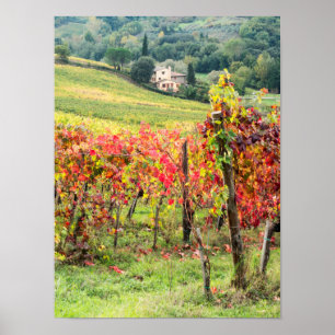 Landhaus und Weinberg Poster