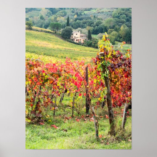Landhaus und Weinberg Poster (Vorne)
