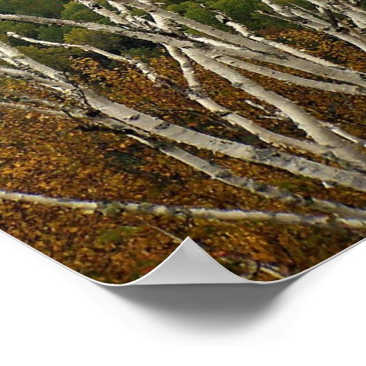 Landhöhe Poster (Ecke)