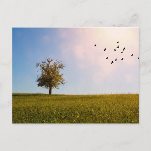 Landidyll Postkarte (Vorderseite)