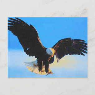Landing Bald American Eagle Postcard Postkarte