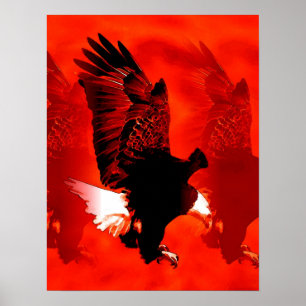 Landing Eagle Poster Print - Red Eagle Poster