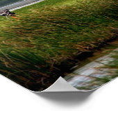Landing of Space Shuttle Endeavour (STS-108) Poster (Ecke)