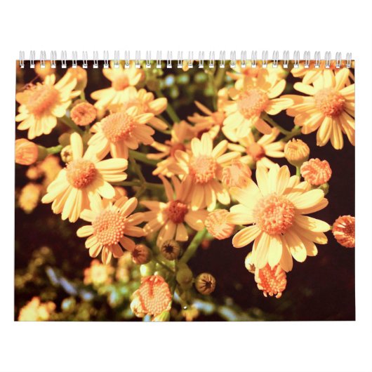 Landkalender Kalender (Titelbild)