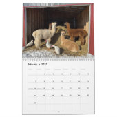 Landkalender mit Fotos Kalender (Feb 2027)