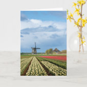 Landkarte für Windmühle und Tulpen Karte (Gelbe Blume)