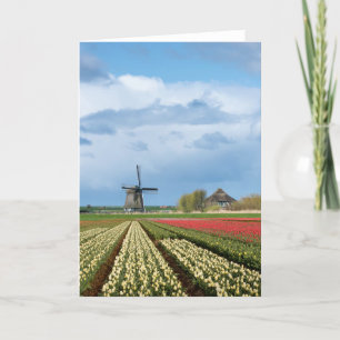 Landkarte für Windmühle und Tulpen Karte