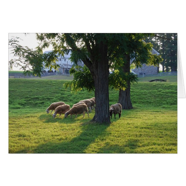 Landkreis Berks, Pennsylvania (Vorderseite (Horizontal))