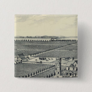 Landkreis Caledonia Vineyard, Fresno Button