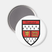 Landkreis Carlow Magnet (Vorderseite/Rückseite)