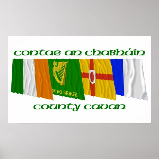 Landkreis Cavan Flags Poster (Vorne)
