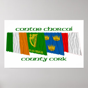 Landkreis Cork Flags Poster