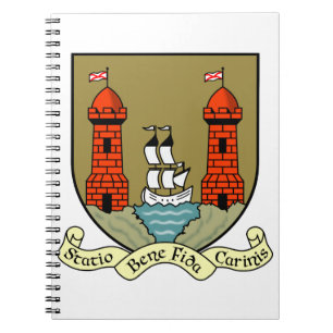 Landkreis Cork Irland Wappen Notizblock