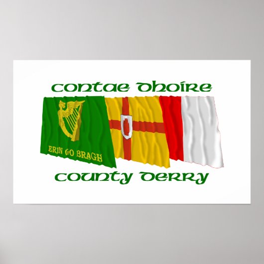 Landkreis Derry Flags Poster (Vorne)