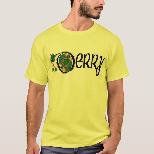 Landkreis Derry T-Shirt (Vorderseite)