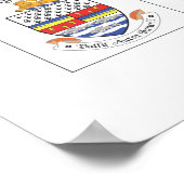 Landkreis des irischen Posters Poster (Ecke)