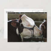 Landkreis Fair Cow Postkarte (Vorne/Hinten)