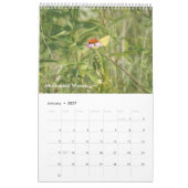 Landkreis Forest Preserve 2021 Single Kalender (Jan 2027)