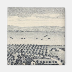 Landkreis Fresno, Kalifornien 20 Magnet