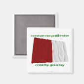 Landkreis Galway Colors Magnet (Vorderseite/Rückseite)
