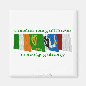 Landkreis Galway Flags Magnet (Vorne)
