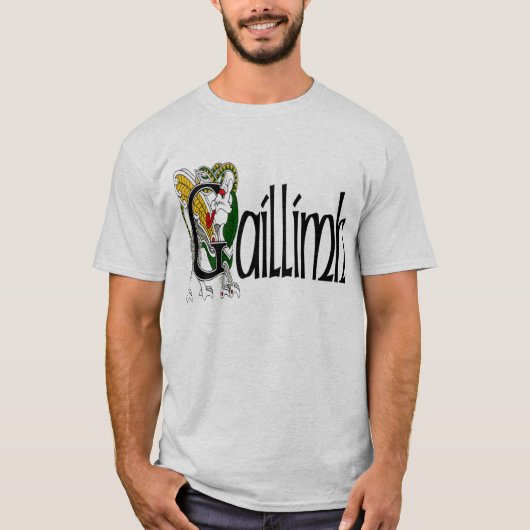 Landkreis Galway (Gälisch) T-Shirt (Vorderseite)