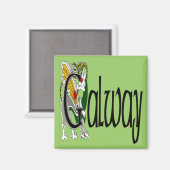 Landkreis Galway Magnet (Vorderseite/Rückseite)