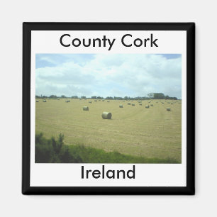 Landkreis-Korken, Irland-Magnet Magnet