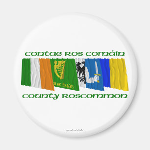 Landkreis Roscommon Flaggen Magnet