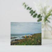 Landkreis Sligo, Irland Postcard Postkarte (Stehend Vorderseite)