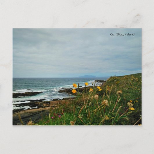 Landkreis Sligo, Irland Postcard Postkarte (Vorderseite)