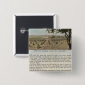 Landkreis Verso Alameda Button (Vorne & Hinten)