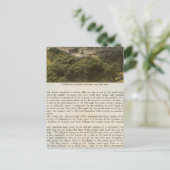 Landkreis Verso Alameda, Oakland und Bucht Postkarte (Stehend Vorderseite)