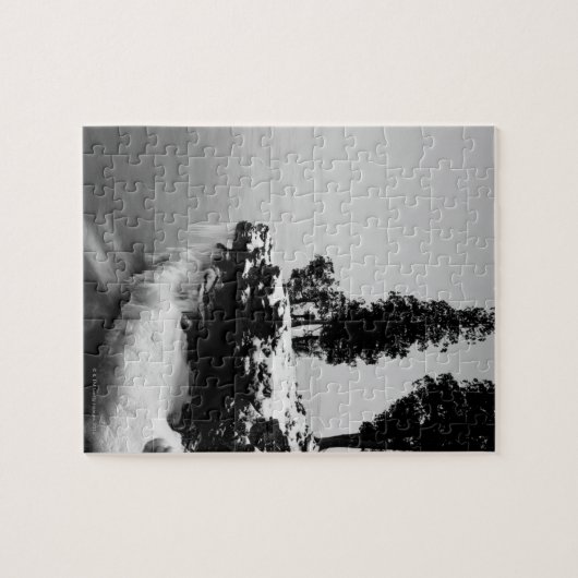 Landkreis, Wisconsin Puzzle (Horizontal)