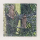 Landkühe kühlen ab puzzle (Horizontal)