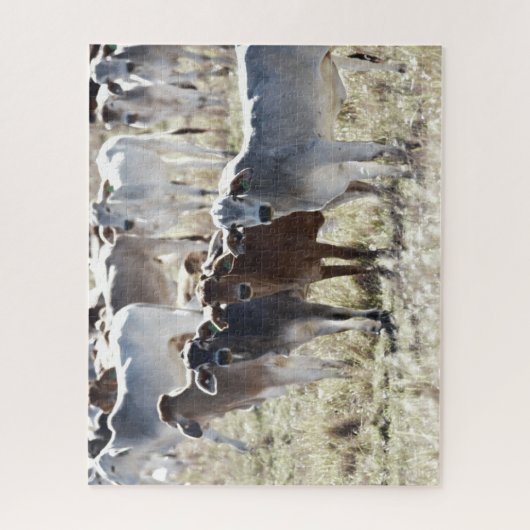 Landkühe Puzzle (Vertikal)