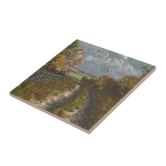 Landlane im Fall Fliese (Seite)