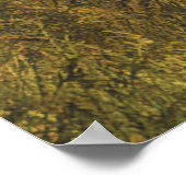 Landlane im Fall Poster (Ecke)